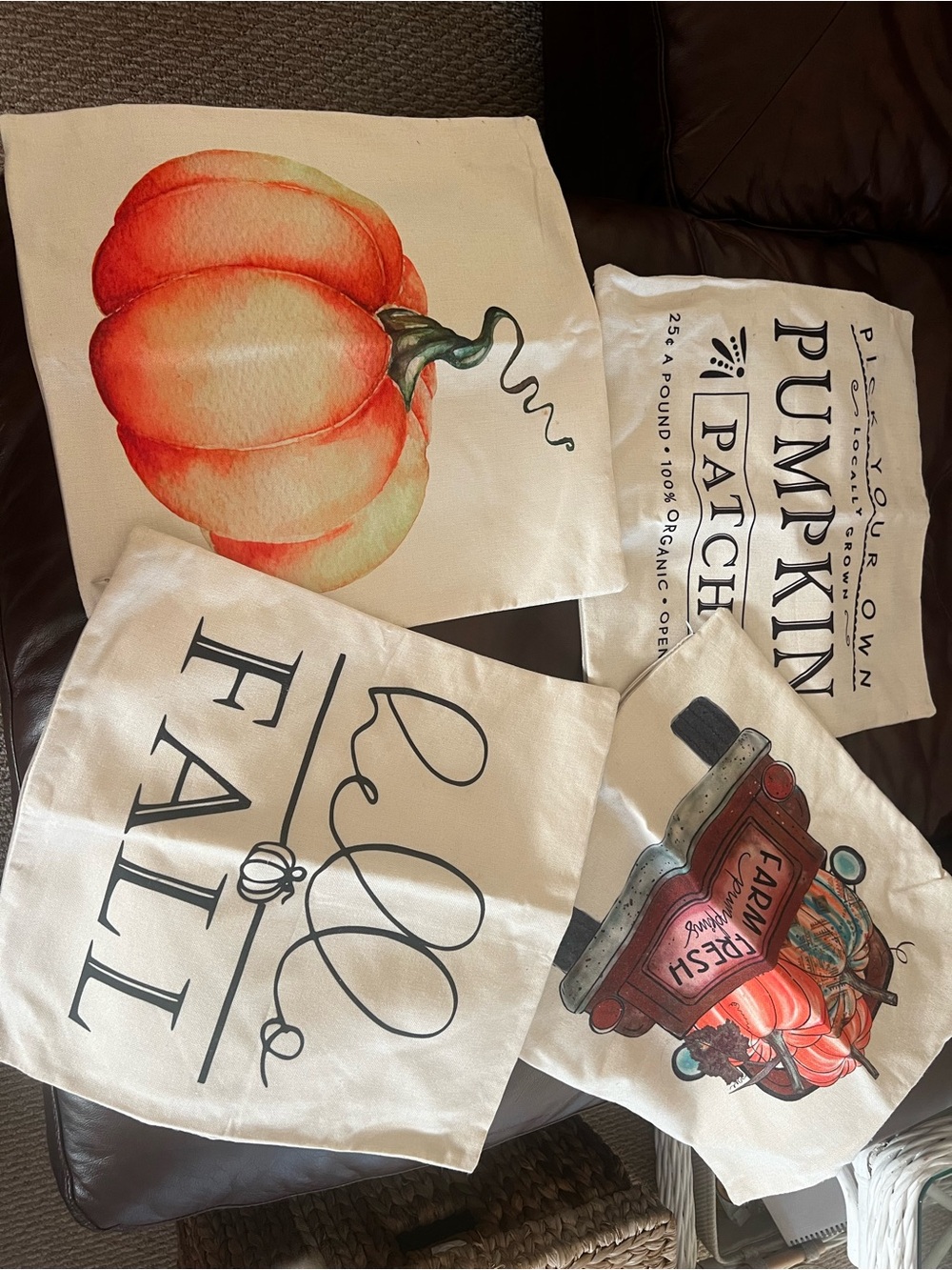 Fall Pumpkin Decorative Pillow Covers - (4) 16x16
